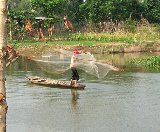 Casting a net from a sampan