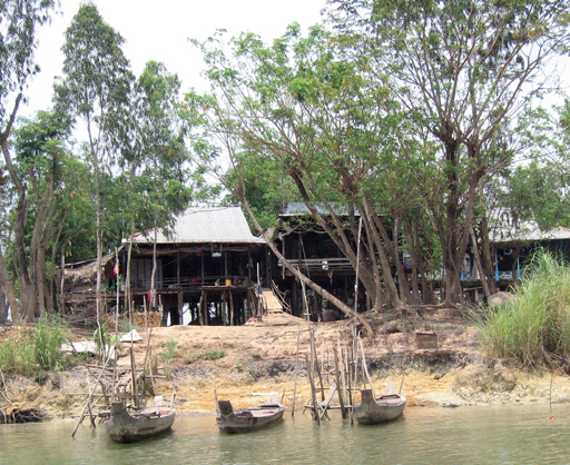 Houses on the bank of the Mekong