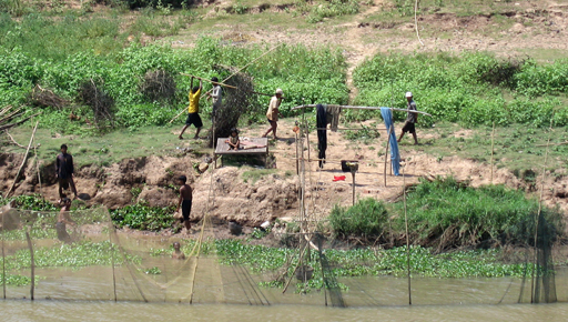 Fish trap on the Tonle Sap River
