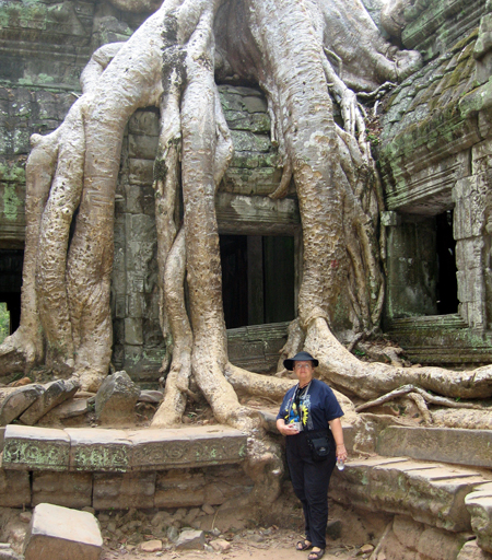 Tree roots at Ta Prohm