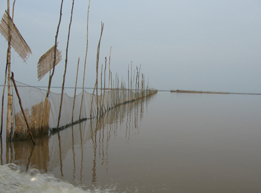 Fishing net in Tonle Sap lake