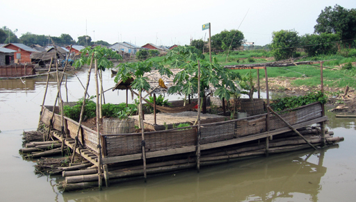 Floating garden